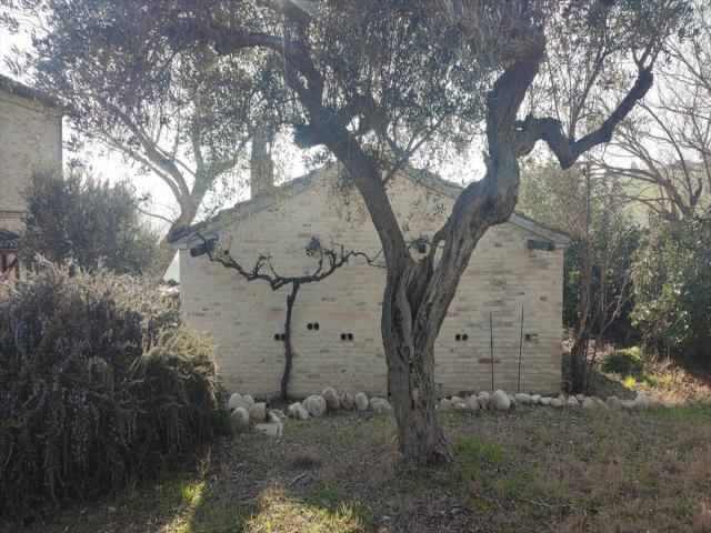 Appartamenti in Vendita - Casale in vendita a città sant'angelo zona agricola