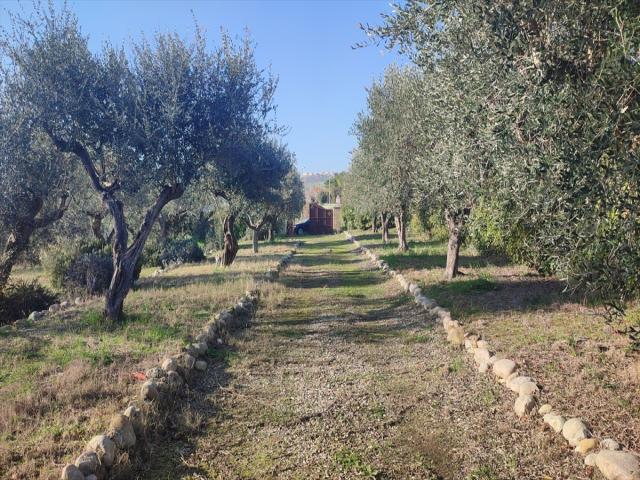 Appartamenti in Vendita - Casale in vendita a città sant'angelo zona agricola