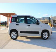 Auto - Fiat panda 1.2 easypower easy