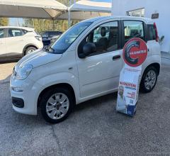 Fiat panda 1.2 easypower lounge