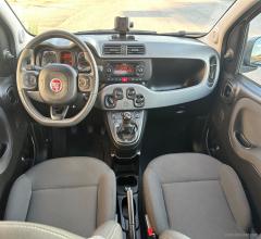 Auto - Fiat panda 1.0 hybrid city cross