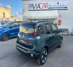 Auto - Fiat panda cross 1.0 firefly s&s hybrid