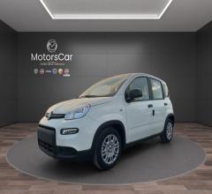 Auto - Fiat panda 1.0 firefly s&s hybrid