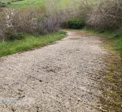 Appartamenti in Vendita - Terreno agricolo in vendita a prizzi contrada sotto la rocca