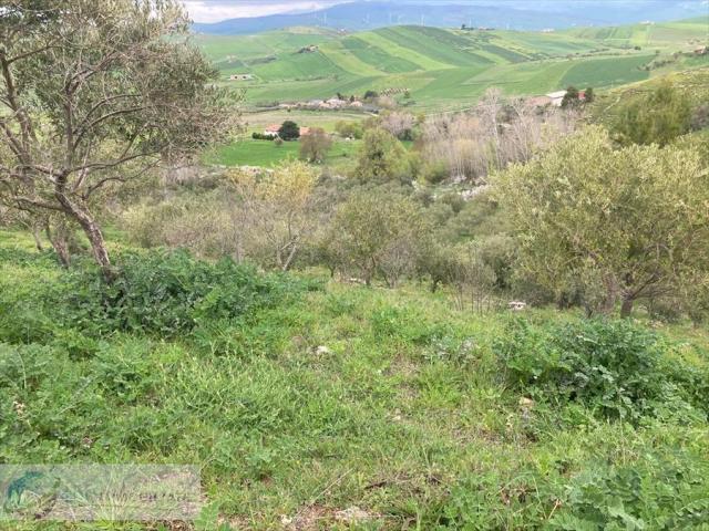 Appartamenti in Vendita - Terreno agricolo in vendita a prizzi contrada sotto la rocca