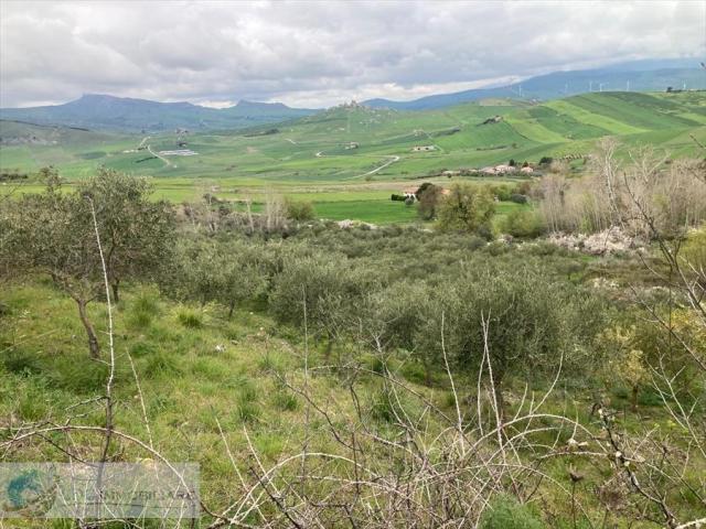 Appartamenti in Vendita - Terreno agricolo in vendita a prizzi contrada sotto la rocca