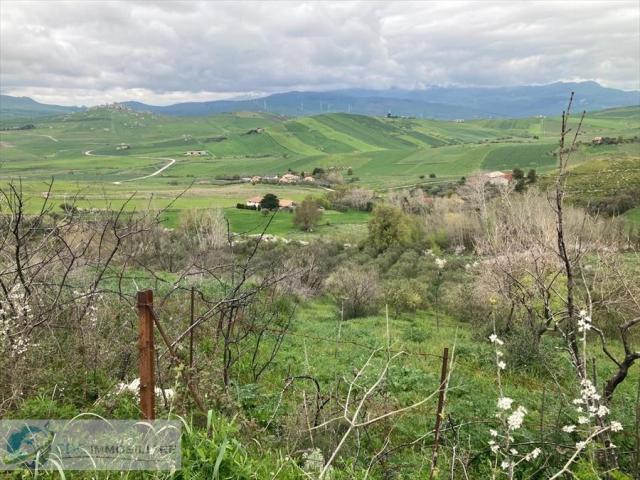 Appartamenti in Vendita - Terreno agricolo in vendita a prizzi contrada sotto la rocca