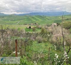 Appartamenti in Vendita - Terreno agricolo in vendita a prizzi contrada sotto la rocca