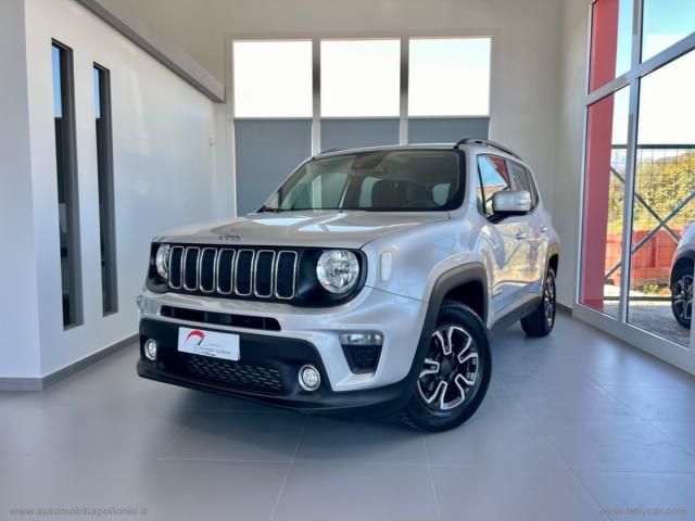 Jeep renegade 1.6 mjt 120cv business