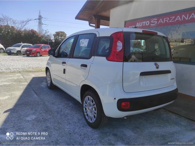 Auto - Fiat panda 1.0 firefly s&s hybrid