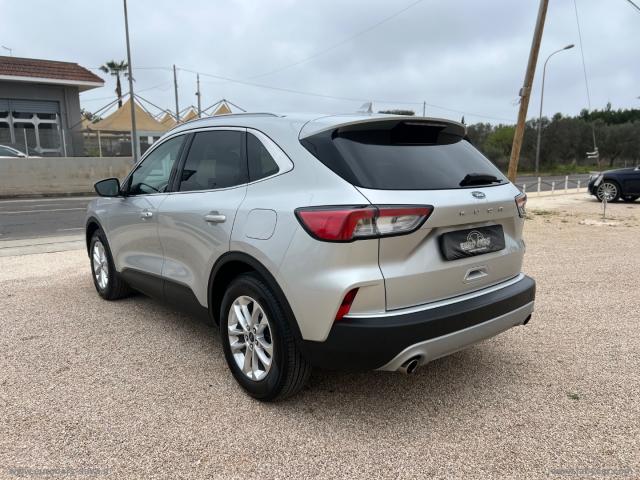 Auto - Ford kuga 1.5 ecoblue 120 cv 2wd titanium