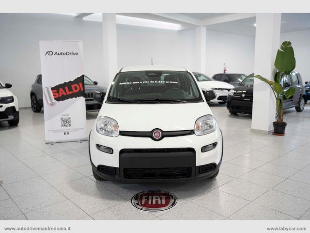 Auto - Fiat panda 1.0 firefly s&s hybrid pandina