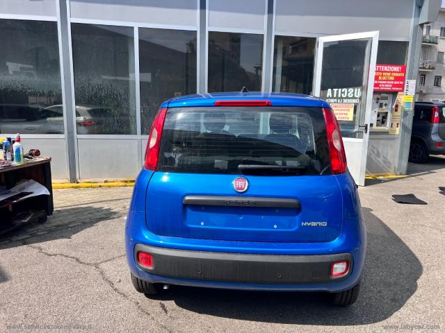 Auto - Fiat panda 1.0 firefly s&s hybrid