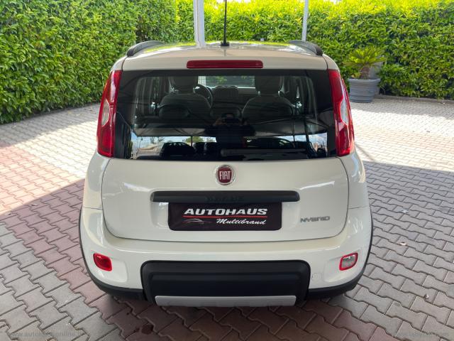 Auto - Fiat panda 1.0 firefly s&s hybrid city life