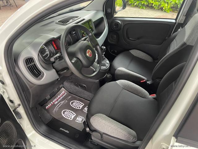 Auto - Fiat panda 1.0 firefly s&s hybrid city life