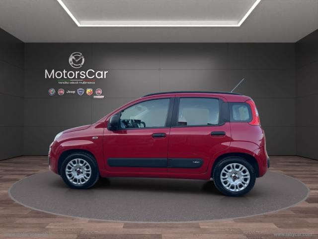 Auto - Fiat panda 1.2 easy