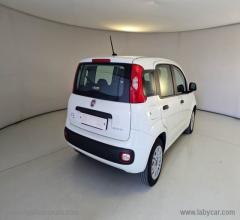 Auto - Fiat panda 1.0 firefly s&s hybrid