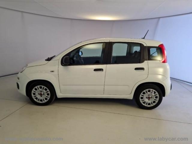 Auto - Fiat panda 1.0 firefly s&s hybrid