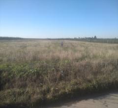 Appartamenti in Vendita - Terreno agricolo in vendita a cerignola san marco