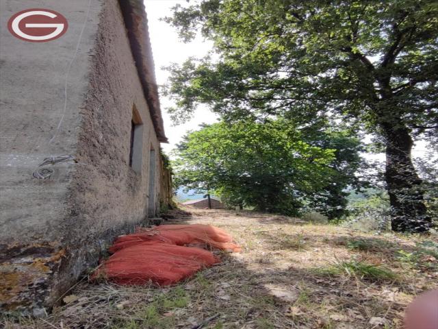 Appartamenti in Vendita - Terreno agricolo in vendita a san giorgio morgeto periferia