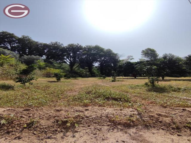 Appartamenti in Vendita - Terreno agricolo in vendita a san giorgio morgeto periferia