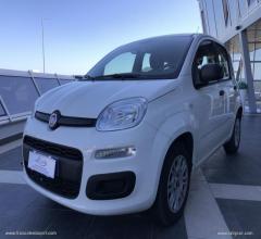 Auto - Fiat panda 1.3 mjt 95 cv s&s easy